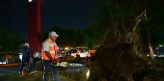 Atiende Protección Civil afectaciones por lluvias  #Xalapa.