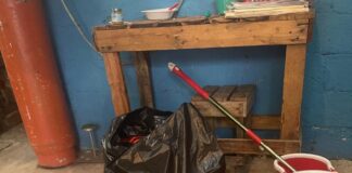 Confirma FGR detención de una persona y aseguramiento de animales exóticos #Xalapa