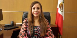 En casos de diputados federales y senadores de tercera circunscripción se presentaron entre 160 y 170 recursos de inconformidad: TEPJF