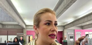 Memorial a los Héroes de la salud, proyecto en espera de concluirse: Nora Jessica Lagunes