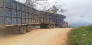 CAMINOS CAÑEROS DESTROZADOS; SE AVECINA LA ZAFRA 2024 – 2025