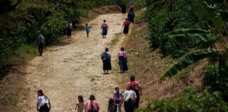 Familias mexicanas huyen a pie a Guatemala por narcoguerra en Chiapas #EmergenciaHumanitaria Foto: NoticiasEnfasis