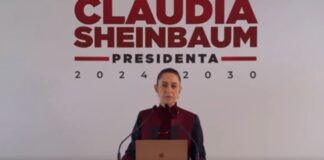 Los trenes que Claudia Sheinbaum proyecta impulsar.