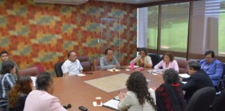 Avanza dictamen en materia de participación política de personas con discapacidad