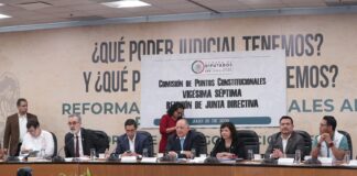 Define fechas para discutir y votar proyectos de dictamen sobre el Plan C