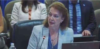 Diana Mondino deslindó a Argentina de la complicidad de Brasil, Colombia y México con Venezuela.