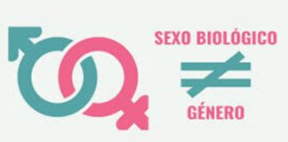 El Concepto de Género