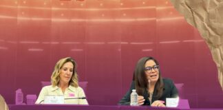 Ante denuncias contra Guardia Nacional por violencia sexual a mujeres, Rodríguez Bucio pide silencio.