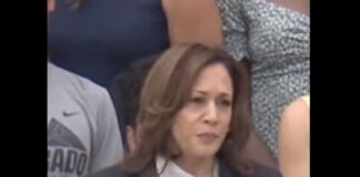 Kamala Harris llama a Donald Trump para urgir una transferencia pacífica del poder.
