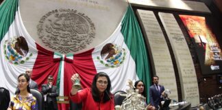 Marcela Guerra Castillo representará a Cámara de Diputados en Foro sobre Desarrollo Sostenible de la ONU