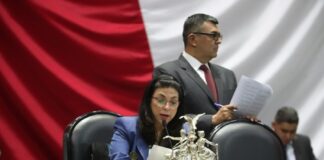 Representará Marcela Guerra al Congreso de la Unión en la 1ª Reunión de mujeres parlamentarias del P20