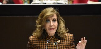 Denuncia María Elena Pérez-Jaén complicidad entre Morena y PRI para evitar asistencia del auditor Superior de la Federación a San Lázaro.