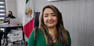 OPLE VER espera conclusión de impugnaciones para designar plurinominales .