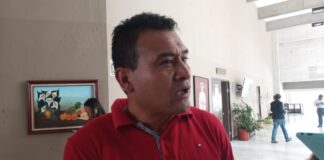 Piden de uno a seis años de cárcel para quien dañe el medio ambiente.