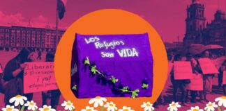 Este año ya superó la violencia contra mujeres del 2023: Red Nacional de Refugios.