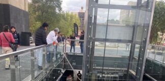 Conmociona caída de más de 20 metros de un trabajador en Monumento de la Revolución #CDM