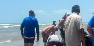 Suman 4 víctimas de ataque de tiburón en Isla del Padre.