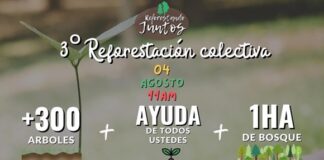 Convocan a jornada anual denominada “Reforestando Juntos”.