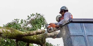 Retiro de Haya, por seguridad de la población en Xalapa.