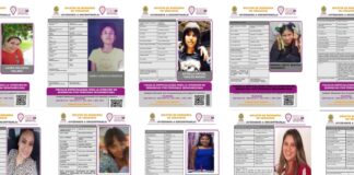 Cuitláhuac García descarta declaración de tercera alerta de género en Veracruz pese a desapariciones. .