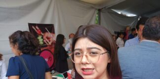 Veracruzanos prefieren quedarse en México a ganar el salario mínimo que buscar el sueño americano: Dorheny García