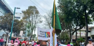 LUCHA POR LA NO SOBRE REPRESENTACIÓN.