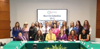 Marcela Guerra urge asegurar que México tenga presupuesto que necesitan las mujeres