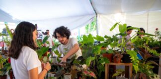 Con más de 40 expositores inauguran “Expo Flores de Verano”.