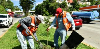 Continúa Ayuntamiento con acciones permanentes por el Medio Ambiente.