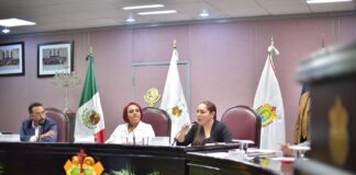 Da entrada Congreso a solicitud de licencia para separarse del cargo de Diputada.