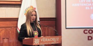 Actualizan Ley de Prevención, Atención y Asistencia a la Violencia Familiar en Veracruz.