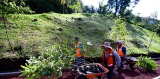 Realiza Dirección de Medio Ambiente Jornada de Reforestación .