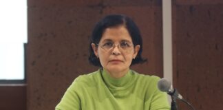 Diputada del Verde plantea que solo se comercialicen perros y gatos vacunados y esterilizados