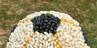 Inauguran Partida, exposición de Rodrigo Ímaz en el MAX .