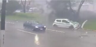 Tragedia por tormenta en Xalapa. Árbol cae sobre taxi y lesiona a pasajera #Video