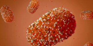 OPS urge a América a reforzar vigilancia por virus mpox ante los nuevos casos en África