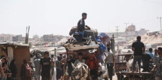 Papa Francisco reza por las zonas en guerra, por el diálogo y la negociación.