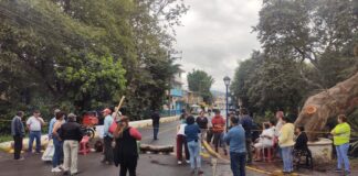 Vecinos bloquean calles por derribo de árbol de 200 años.