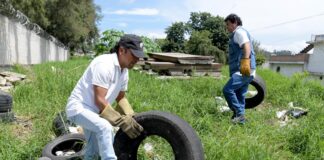 Realiza Ayuntamiento acciones permanentes para la prevención del dengue .