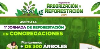 Este sábado, Primera Jornada de reforestación en congregaciones #Xalapa