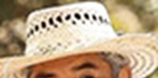 Resquebrajar el núcleo comunal .