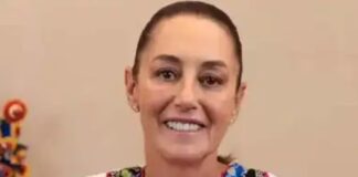 Tren Maya ¿de carga?… ¿y qué cargará?