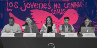 Defensoras van contra reelección de Piedra Ibarra en CNDH: «Dejó de ser un contrapeso»