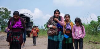 Violencia por crimen organizado impacta en mujeres gestantes de Chiapas.