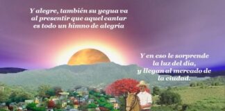 AMLO, “El Jibarito”.