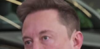 Señalan en redes a Elon musk por supuestamente incitar a la violencia contra Kamala Harris