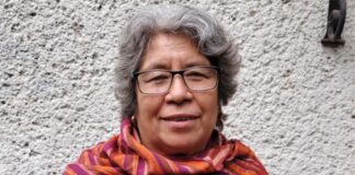 Condena Anavi criminalización de Hortensia Telésforo, defensora de Atlapulco.