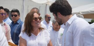 Vamos por la reforma electoral adelanta Rocío Nahle.