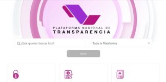 Plataforma Nacional de Transparencia ¿qué información puedo consultar?