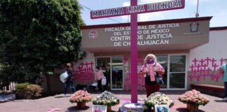 “Por órdenes superiores” Edomex elimina protección a Irinea Buendía, defensora emblemática tras feminicidio de su hija.